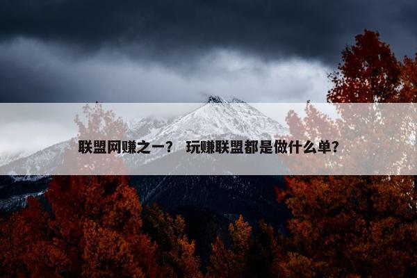 联盟网赚之一? 玩赚联盟都是做什么单?