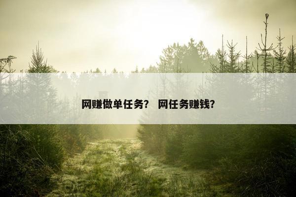 网赚做单任务？ 网任务赚钱？