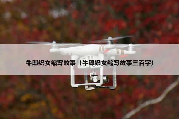 牛郎织女缩写故事（牛郎织女缩写故事三百字）