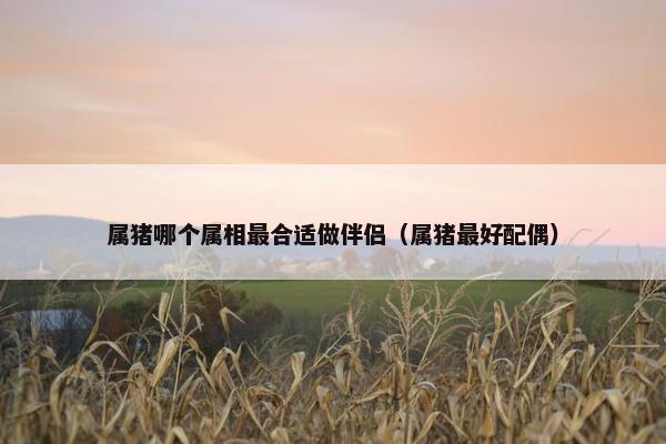 属猪哪个属相最合适做伴侣（属猪最好配偶）