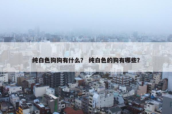 纯白色狗狗有什么？ 纯白色的狗有哪些？