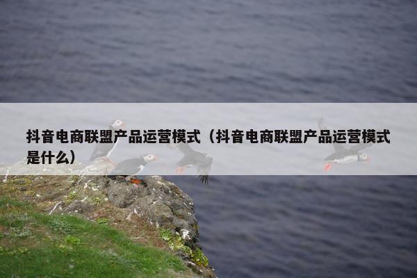 抖音电商联盟产品运营模式（抖音电商联盟产品运营模式是什么）