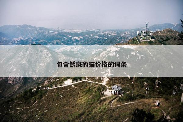 包含锈斑豹猫价格的词条