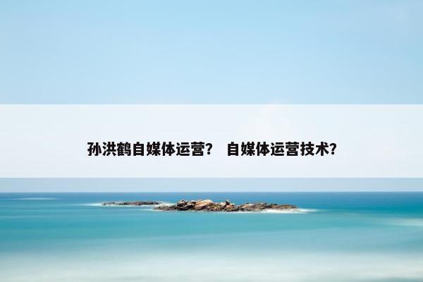 孙洪鹤自媒体运营？ 自媒体运营技术？
