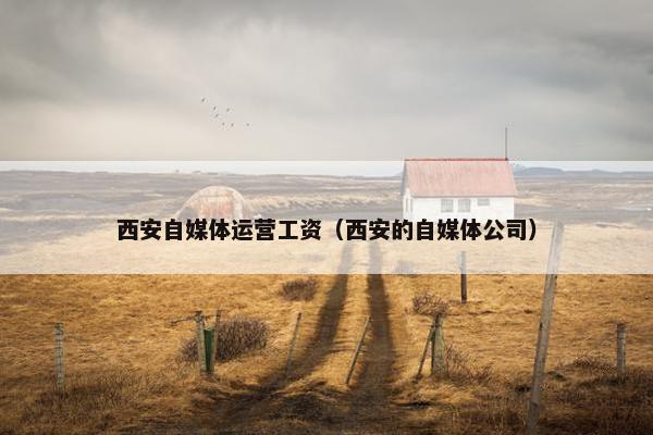 西安自媒体运营工资（西安的自媒体公司）