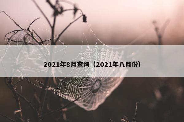 2021年8月查询（2021年八月份）