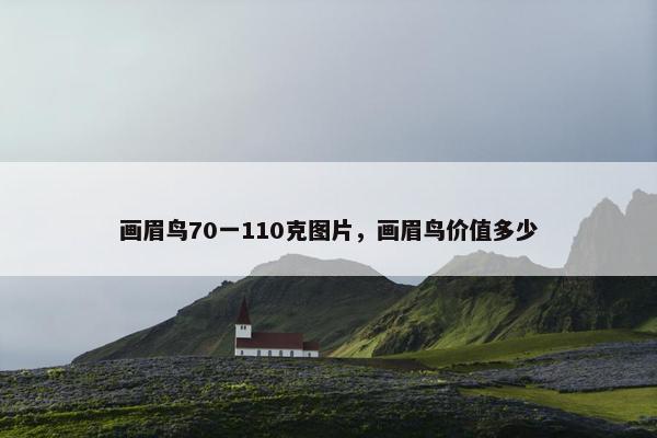画眉鸟70一110克图片，画眉鸟价值多少