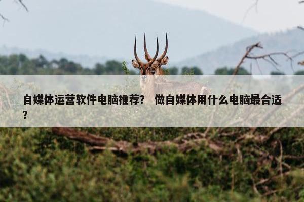 自媒体运营软件电脑推荐？ 做自媒体用什么电脑最合适？