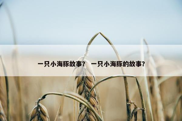 一只小海豚故事？ 一只小海豚的故事？
