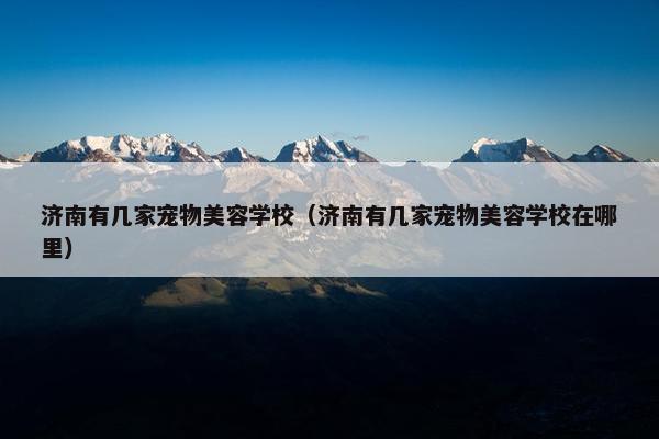 济南有几家宠物美容学校(济南有几家宠物美容学校在哪里)