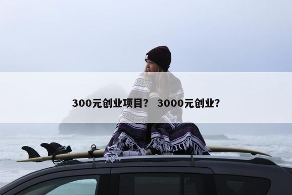 300元创业项目? 3000元创业?