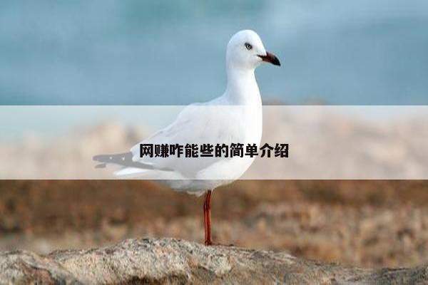 网赚咋能些的简单介绍