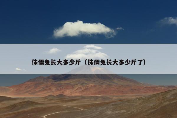 侏儒兔长大多少斤(侏儒兔长大多少斤了) 侏儒兔长大多少斤(侏儒兔长大多少斤了)