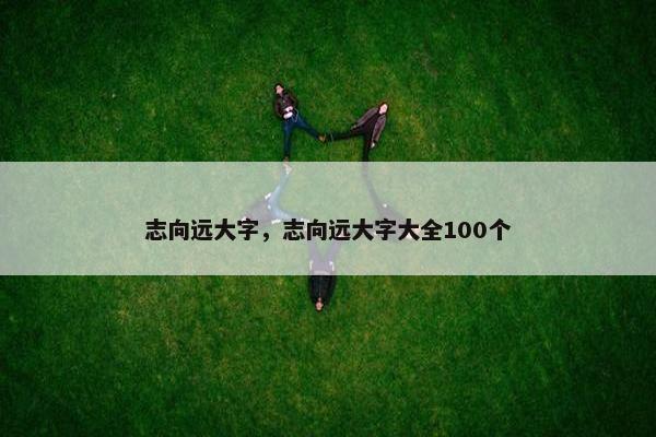 志向远大字，志向远大字大全100个