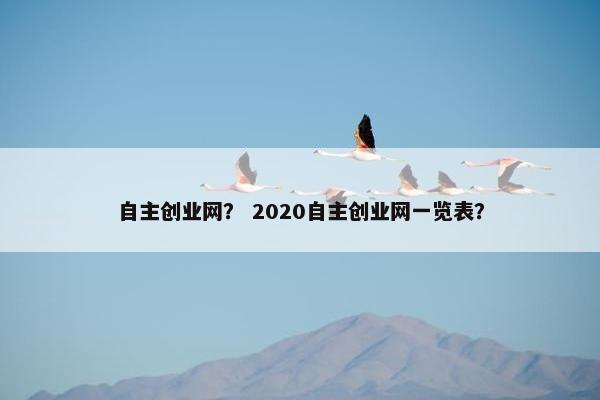 自主创业网？ 2020自主创业网一览表？