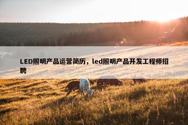 LED照明产品运营简历，led照明产品开发工程师招聘