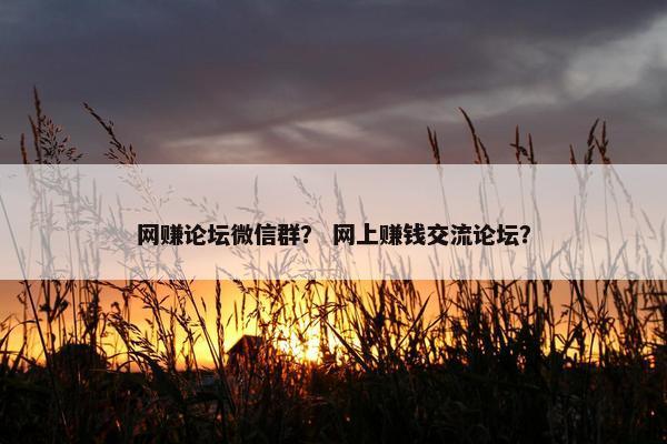 网赚论坛微信群？ 网上赚钱交流论坛？