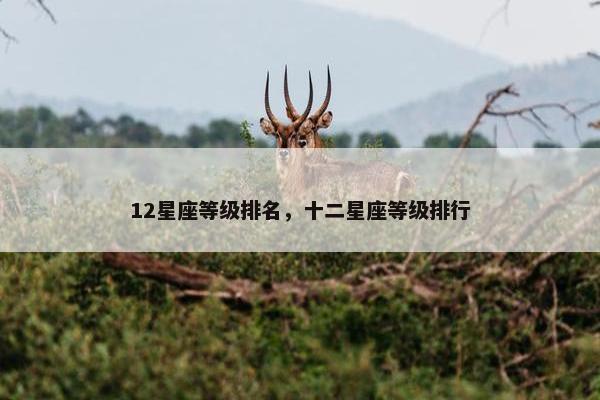 12星座等级排名,十二星座等级排行 12星座等级排名,十二星座等级排行