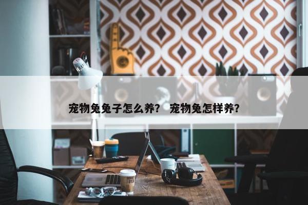 宠物兔兔子怎么养？ 宠物兔怎样养？