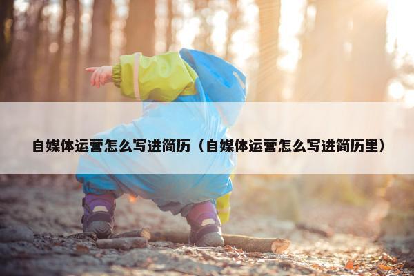 自媒体运营怎么写进简历（自媒体运营怎么写进简历里）