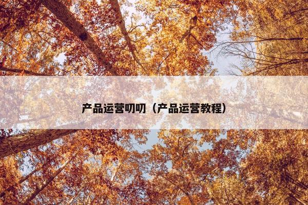 产品运营叨叨（产品运营教程）