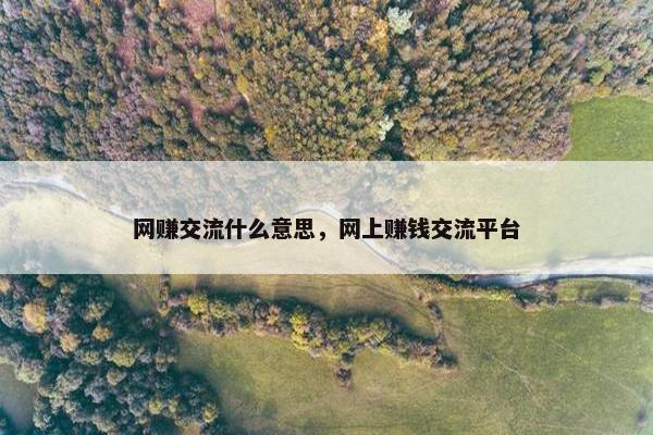 网赚交流什么意思，网上赚钱交流平台