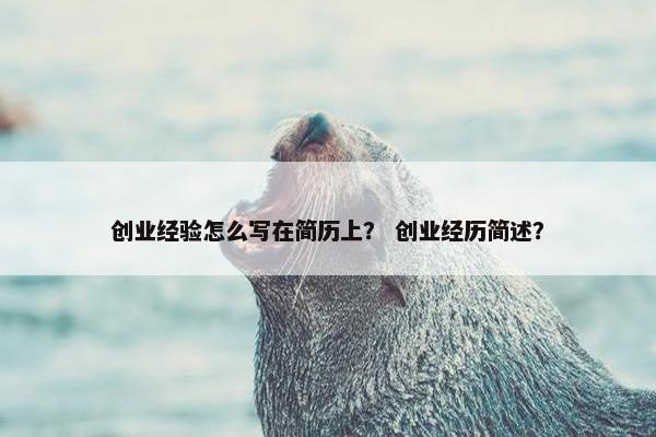 创业经验怎么写在简历上？ 创业经历简述？