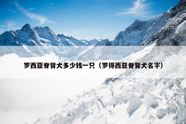 罗西亚脊背犬多少钱一只（罗得西亚脊背犬名字）