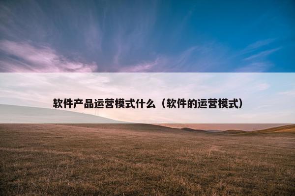 软件产品运营模式什么（软件的运营模式）