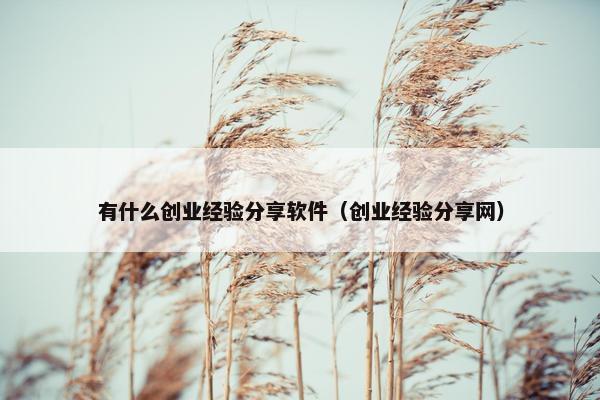 有什么创业经验分享软件（创业经验分享网）