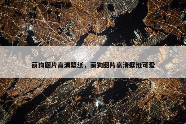 萌狗图片高清壁纸，萌狗图片高清壁纸可爱