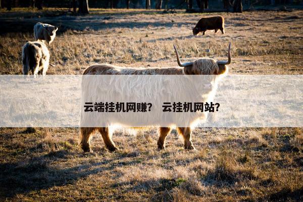 云端挂机网赚？ 云挂机网站？