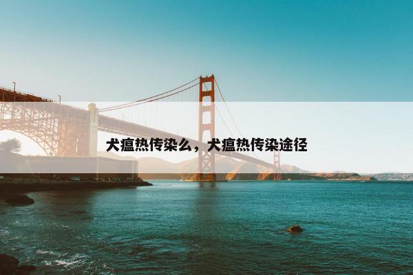 犬瘟热传染么,犬瘟热传染途径