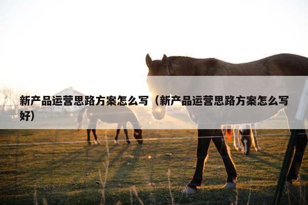 新产品运营思路方案怎么写（新产品运营思路方案怎么写好）