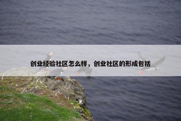 创业经验社区怎么样，创业社区的形成包括