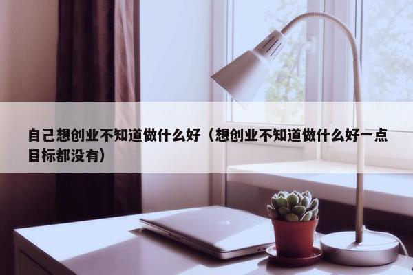 自己想创业不知道做什么好（想创业不知道做什么好一点目标都没有）