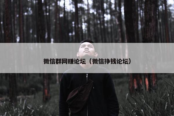 微信群网赚论坛(微信挣钱论坛)