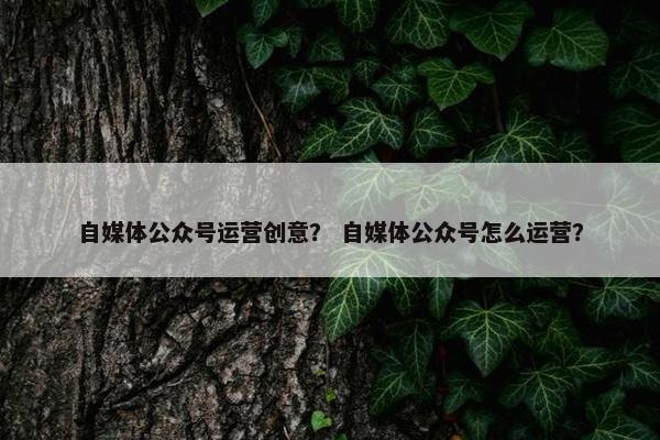 自媒体公众号运营创意？ 自媒体公众号怎么运营？