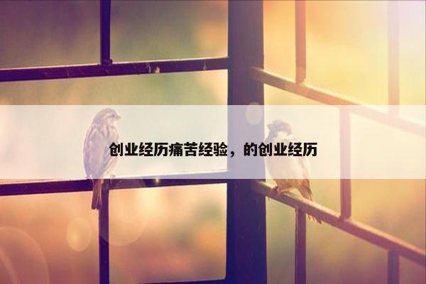 创业经历痛苦经验，的创业经历