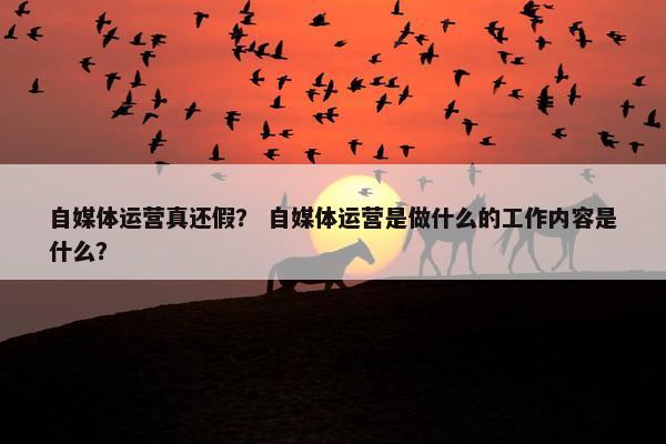 自媒体运营真还假? 自媒体运营是做什么的工作内容是什么? 自媒体运营真还假? 自媒体运营是做什么的工作内容是什么?