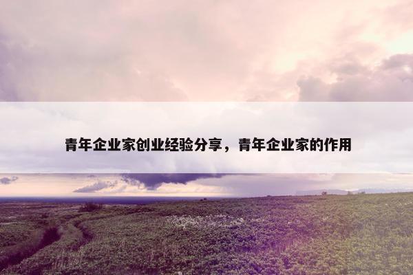 青年企业家创业经验分享，青年企业家的作用