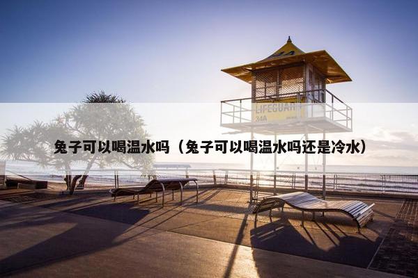 兔子可以喝温水吗（兔子可以喝温水吗还是冷水）