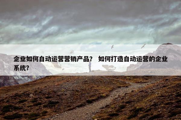 企业如何自动运营营销产品？ 如何打造自动运营的企业系统？