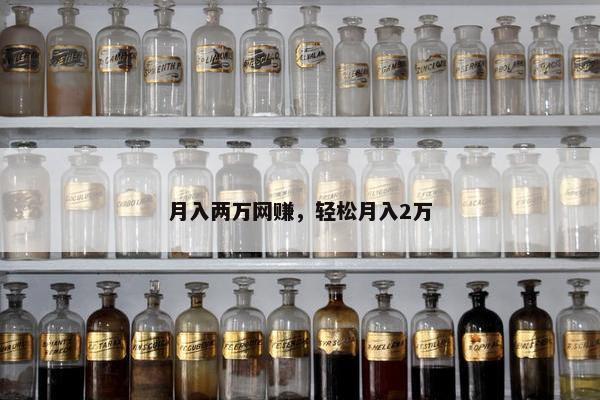 月入两万网赚，轻松月入2万