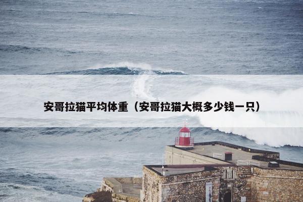 安哥拉猫平均体重（安哥拉猫大概多少钱一只）