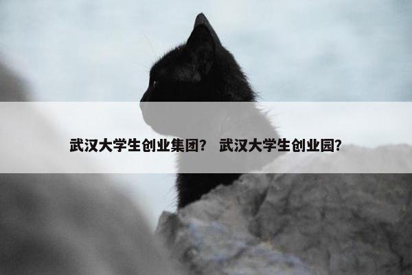 武汉大学生创业集团? 武汉大学生创业园?