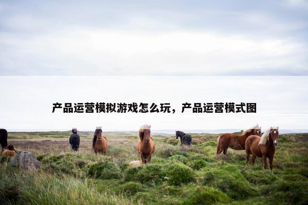 产品运营模拟游戏怎么玩，产品运营模式图