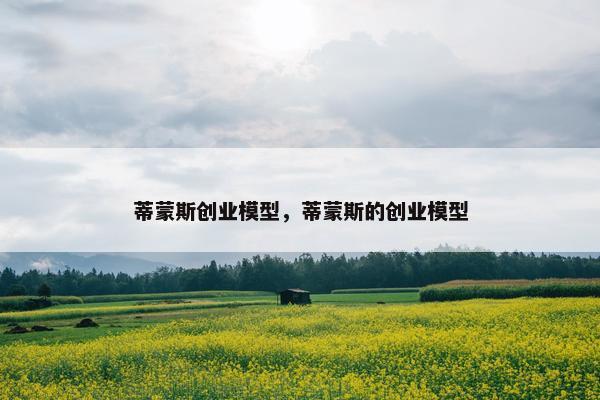 蒂蒙斯创业模型，蒂蒙斯的创业模型