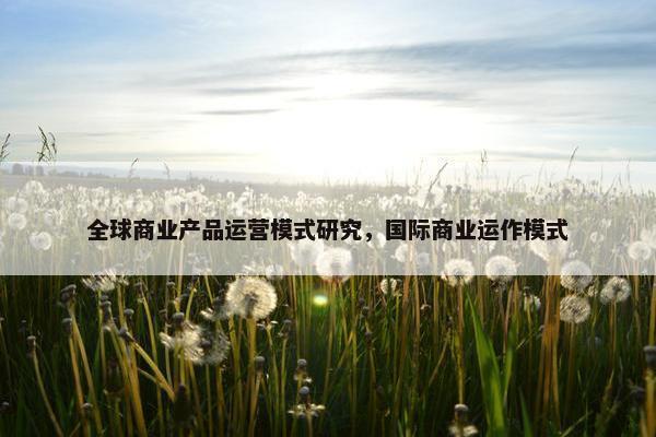全球商业产品运营模式研究，国际商业运作模式