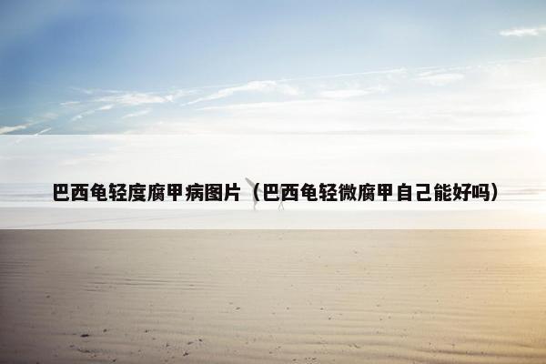 巴西龟轻度腐甲病图片（巴西龟轻微腐甲自己能好吗）